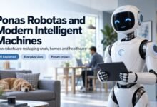 Ponas Robotas